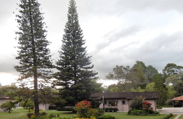 COUNTRY HOUSE IN LLANO GRANDE