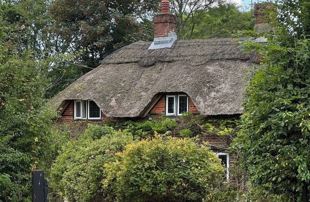Countryside Thatched Cottage