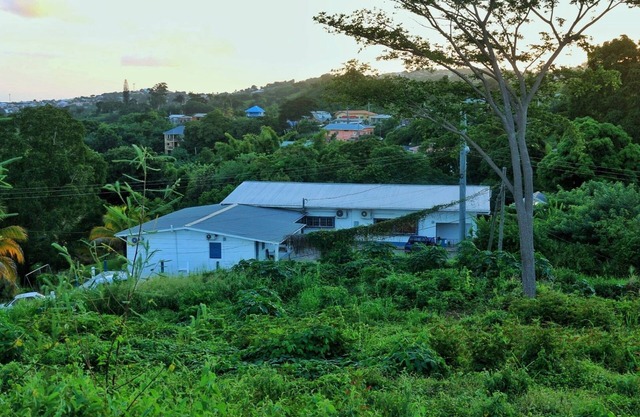 Cozy 1-bed Apt in Whim Estate-near Scarborough