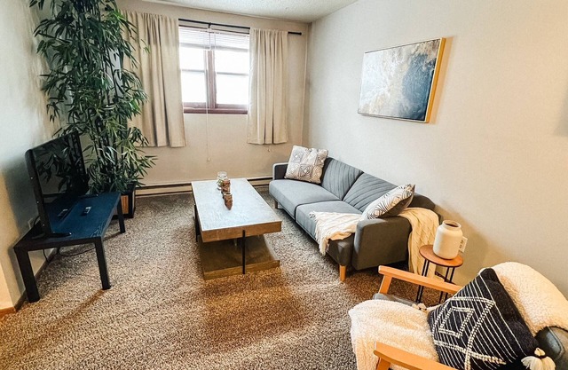 Cozy 1-Bedroom Close to NDSU and Downtown (APT 2)