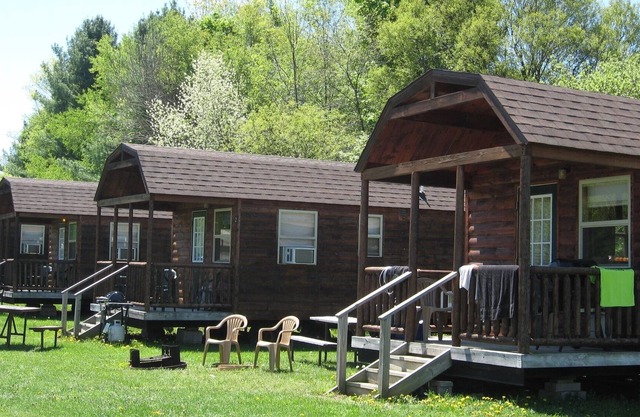Cozy 1-BR cabin with additional sleeping loft. Less than 5 mi from Cooperstown