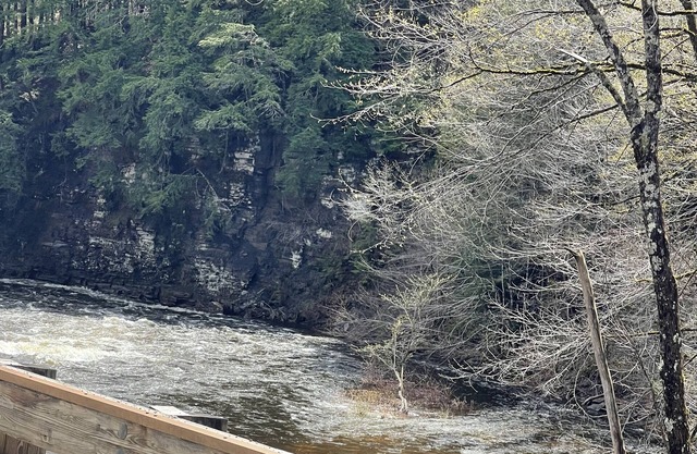 Cozy 2 bedroom cabin on the snowmobile trails