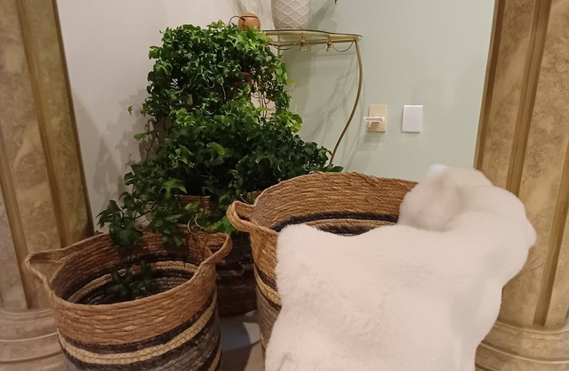 Cozy 3-bedroom house in downtown Pomerode - Guesthouse - Accommodation