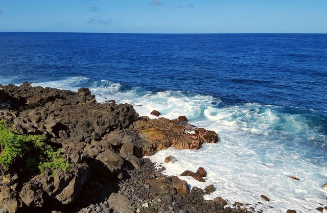 Cozy Aloha Ohia Hale with Hot Tub