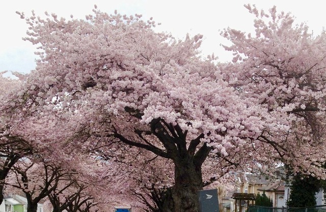 Cozy Bedrooms Guest House