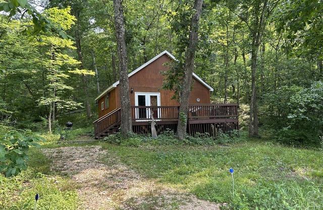 Cozy cabin getaway with hot-tub under stars!