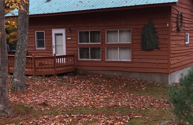Cozy cabin in Old Forge. 3 miles north of town.