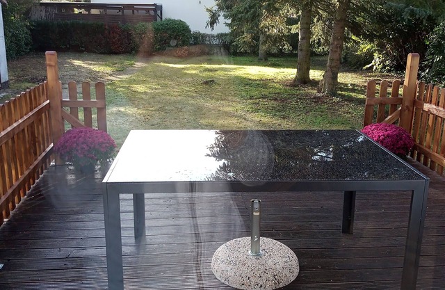 Cozy dog-friendly house on the edge of the forest