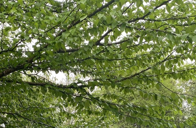 Cozy home just minutes from White Lake