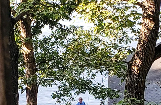 Cozy Lakefront A-frame on Smith Mountain Lake w/private dock. Pet Friendly.