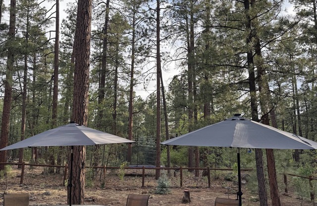 Cozy Pines Cabin Mountain Retreat, Pinetop Lakes CC, Golf Hike Bike Fish Relax!