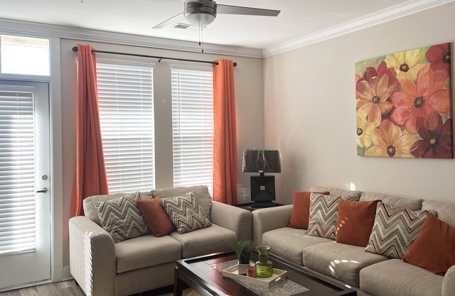 Cozy Quaint Apartment Home near Uptown Charlotte