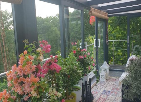 Cozy room with a beautiful garden view