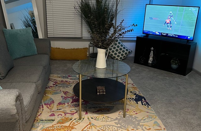 Cozy Spacious Apartment 20 minutes out of Atlanta! Right near Perimeter Mall