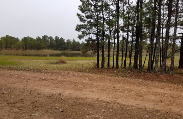 Cozy studio pet friendly cabin- private lake - fishing & swim - Cowgirl Cabin