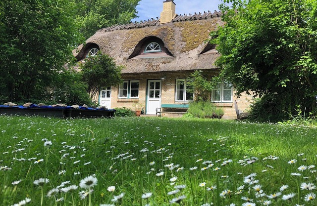 Cozy thatched cottage between the Baltic Sea and Schlei with a large garden
