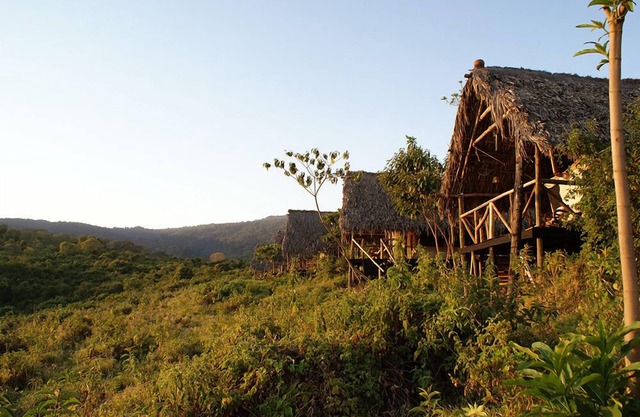 Crater Forest Tented Camp