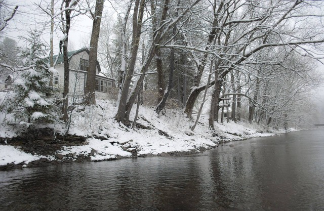 Creek-Side Living In The Pennsylvania Elk Range