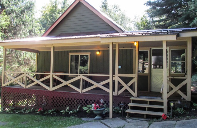 Creekside Cabin Near Salt Springs Park!