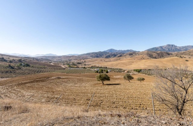 CT 131 Campo Dream en Alora