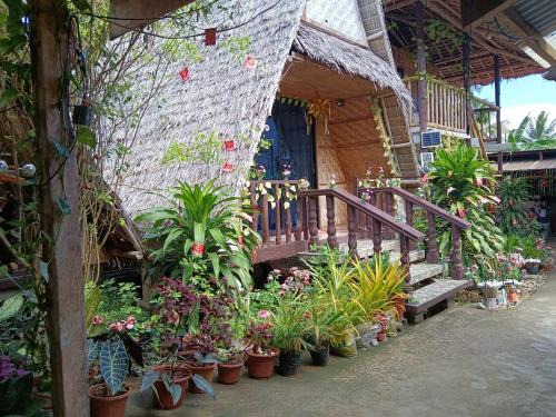 Daisy Food House and Inn