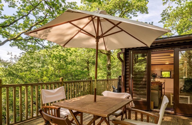 Dalehead Tarn Lodge - Situated in a Woodland Estate (Dog-friendly)