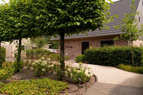 'De Zandrug' vakantiehoeve - B&B