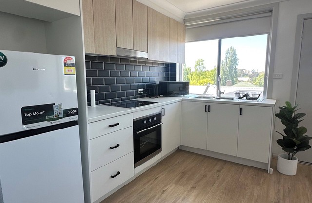 ✨Delight in Oberon✨