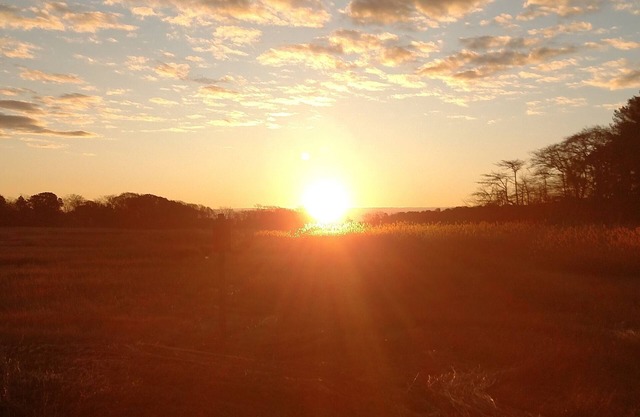 Delightful 2-bedroom house with AC in charming Sandwich