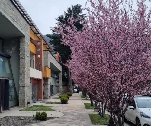 Depto del Arroyo