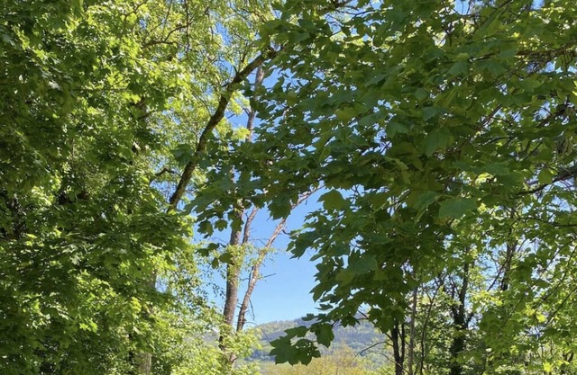 Designer loft in a very beautiful property