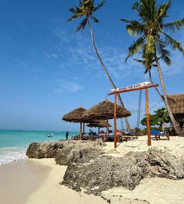 Dhow Beach Boutique Hotel