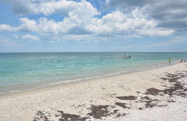 Discover Your Jupiter Beach Retreat: Luxury and Comfort Steps from the Sand