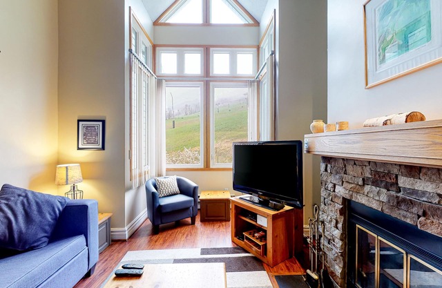 Dog-friendly condo at the base of the mountain w/a full kitchen