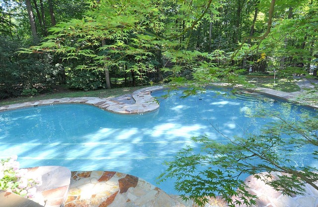 Dogwood Knoll - Wooded Escape