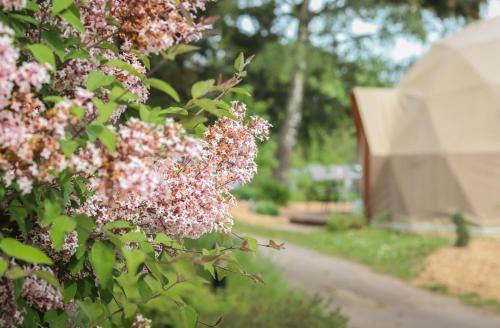 Domaine du Heidenkopf