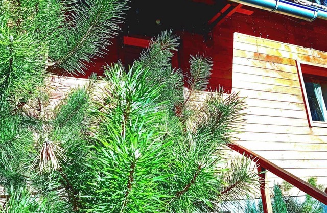 Domaine les lodges nature,private wellness, chalet de luxe en pleine nature