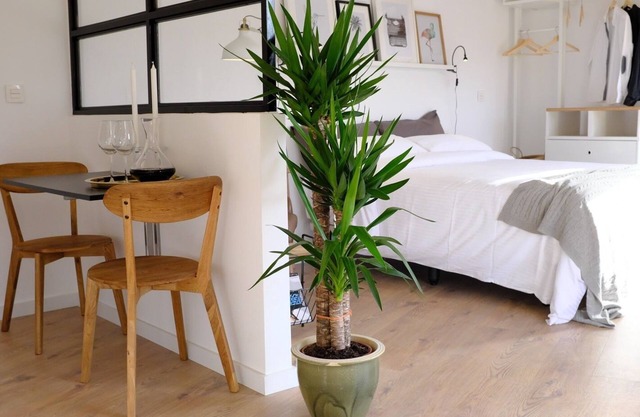 Double Apartment with city views