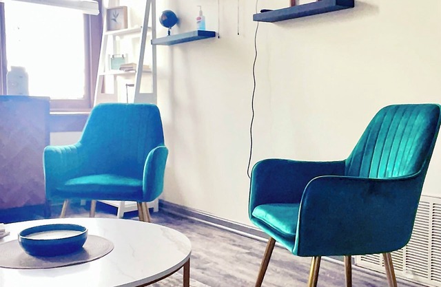 Downtown 2 bdr historic apartment w/cinema room in Nulu