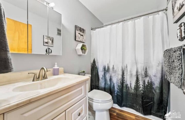 Downtown Iditarod - Yentna -2