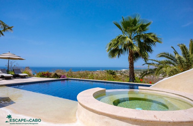 Dragonfly Puerto Los Cabos Best Views