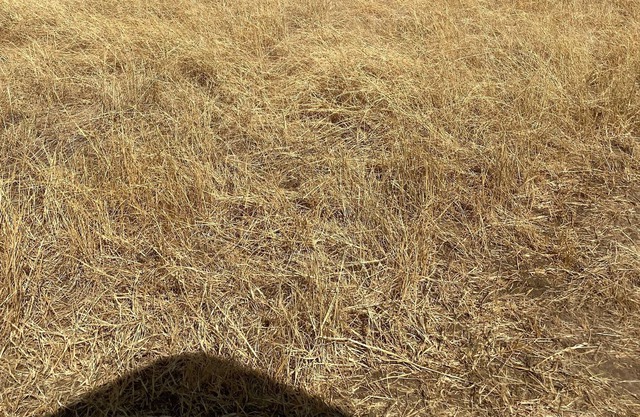 Dry Camp! Solar Eclipse!