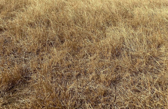 Dry Camping! Solar eclipse! Totality! Bring your tent!