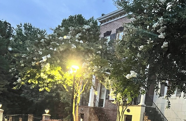 Dunwoody Dreamz…in Sandy Springs