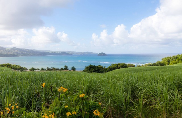 Eclats de Mer, 3 Waterfront Bungalows in Tartane/WIFI Car Rental