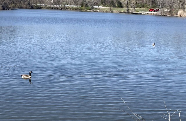 Eclipse Campsites Available. Waterfront views