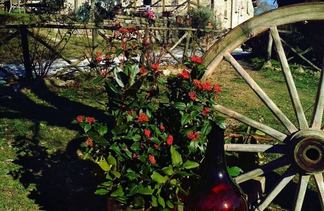 ECO AGRITOURISM MONTESALCE - HOLISTIC SPACE