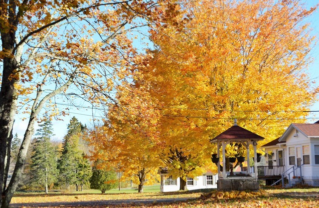 Eden Village Motel & Cottages
