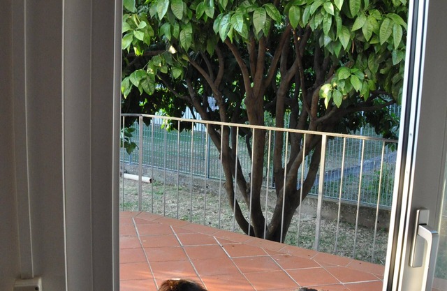 Elegant villa with garden just 3.9 km from the sea