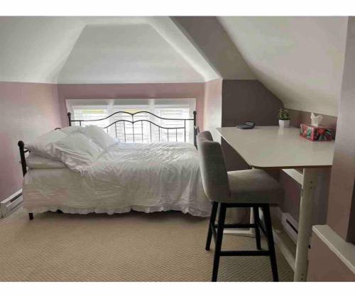 Elevated Entertainment Sleep Suite